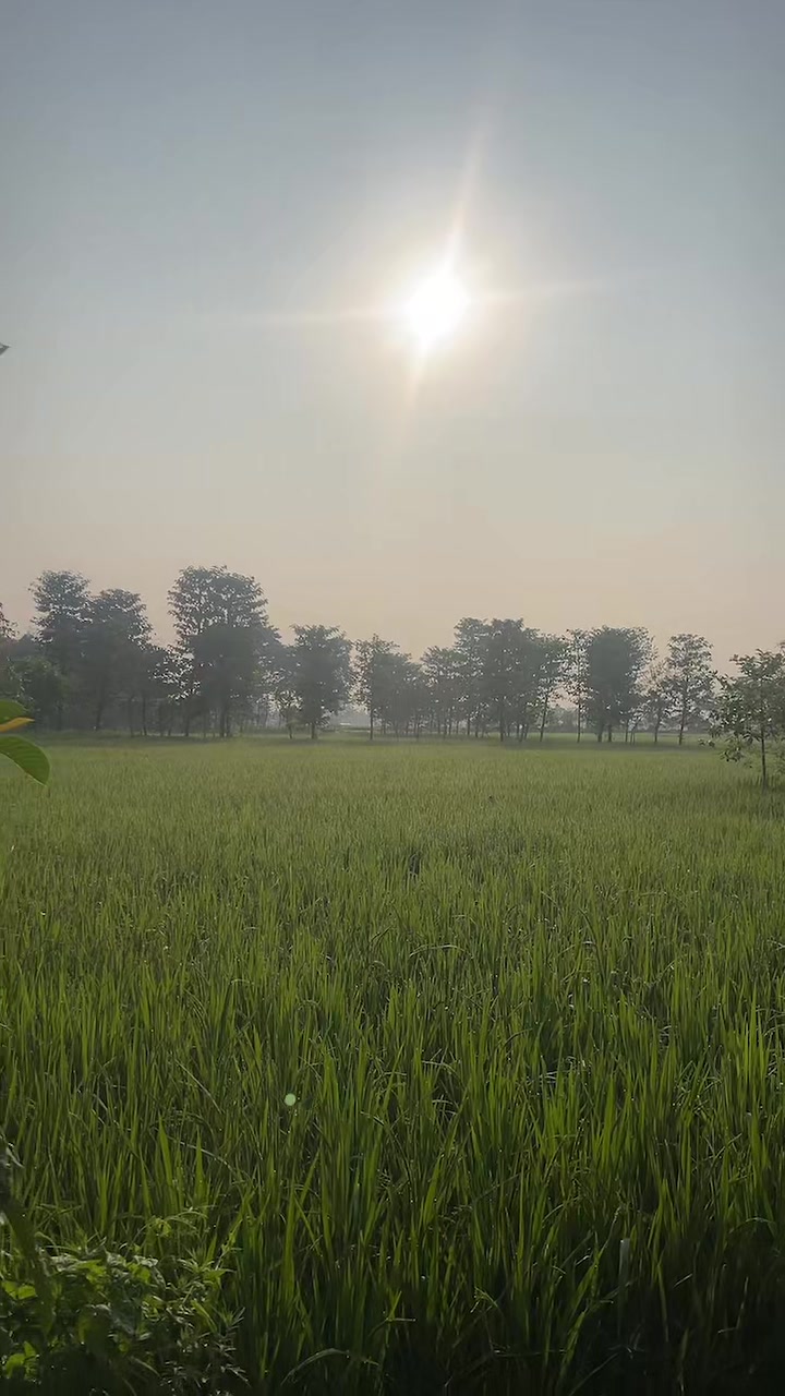@Sastika lingden limbu