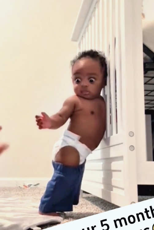@funny.pets.babyone