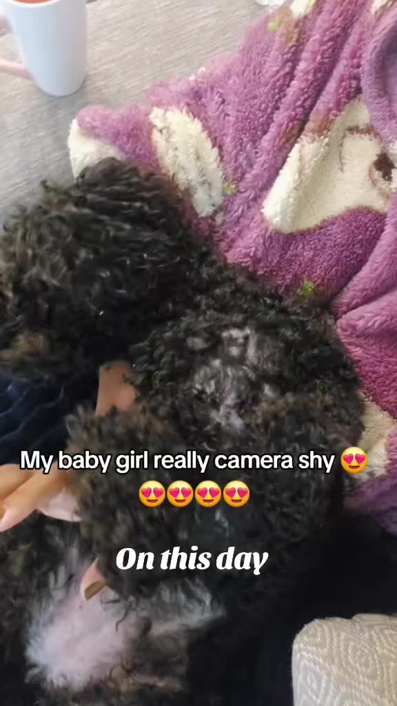 @BojanglesBaby