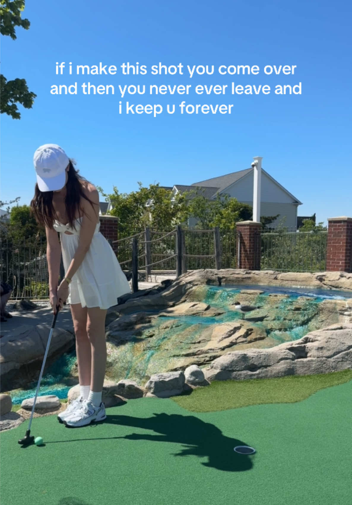 @ceo