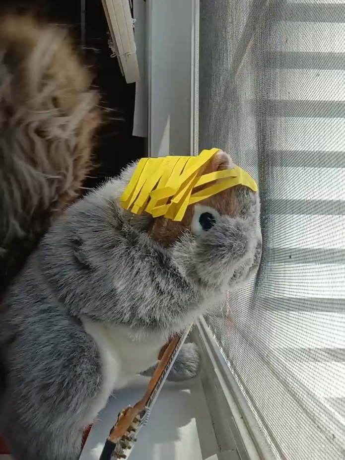 @Charles The Squirrel