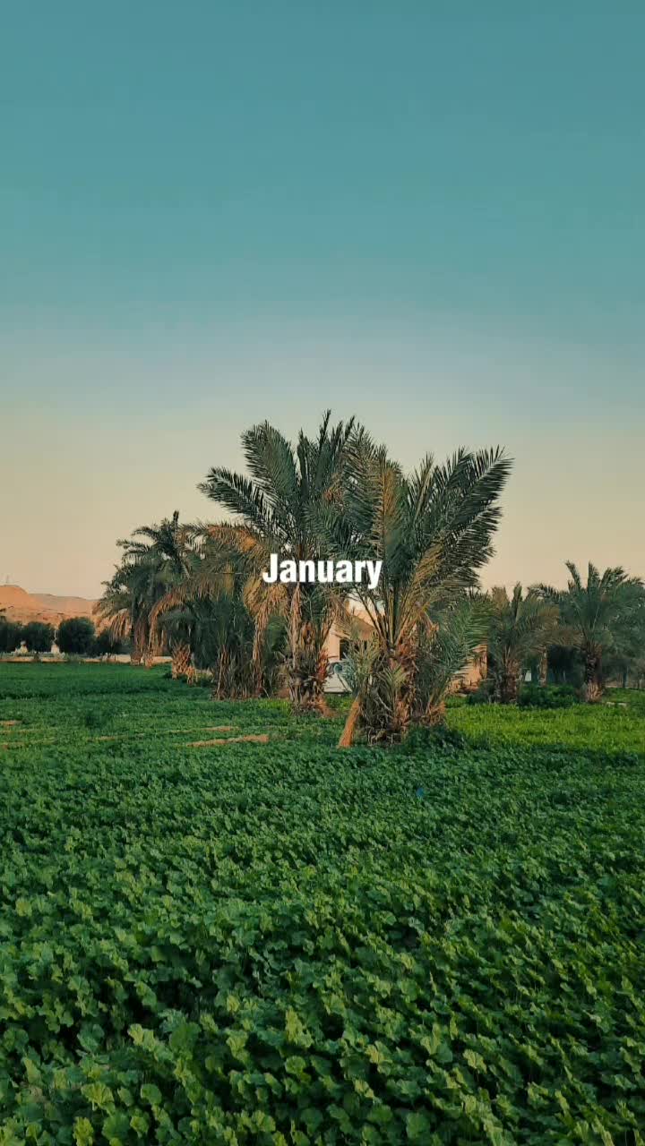 @Mohammad Hassan Alhayek