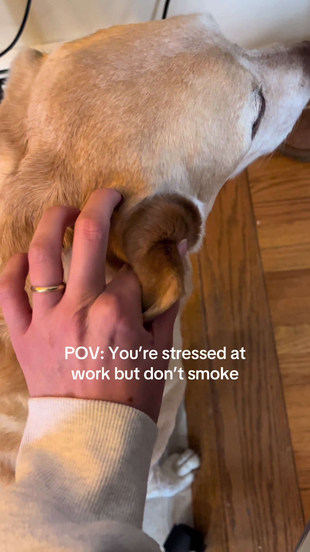 @ava
