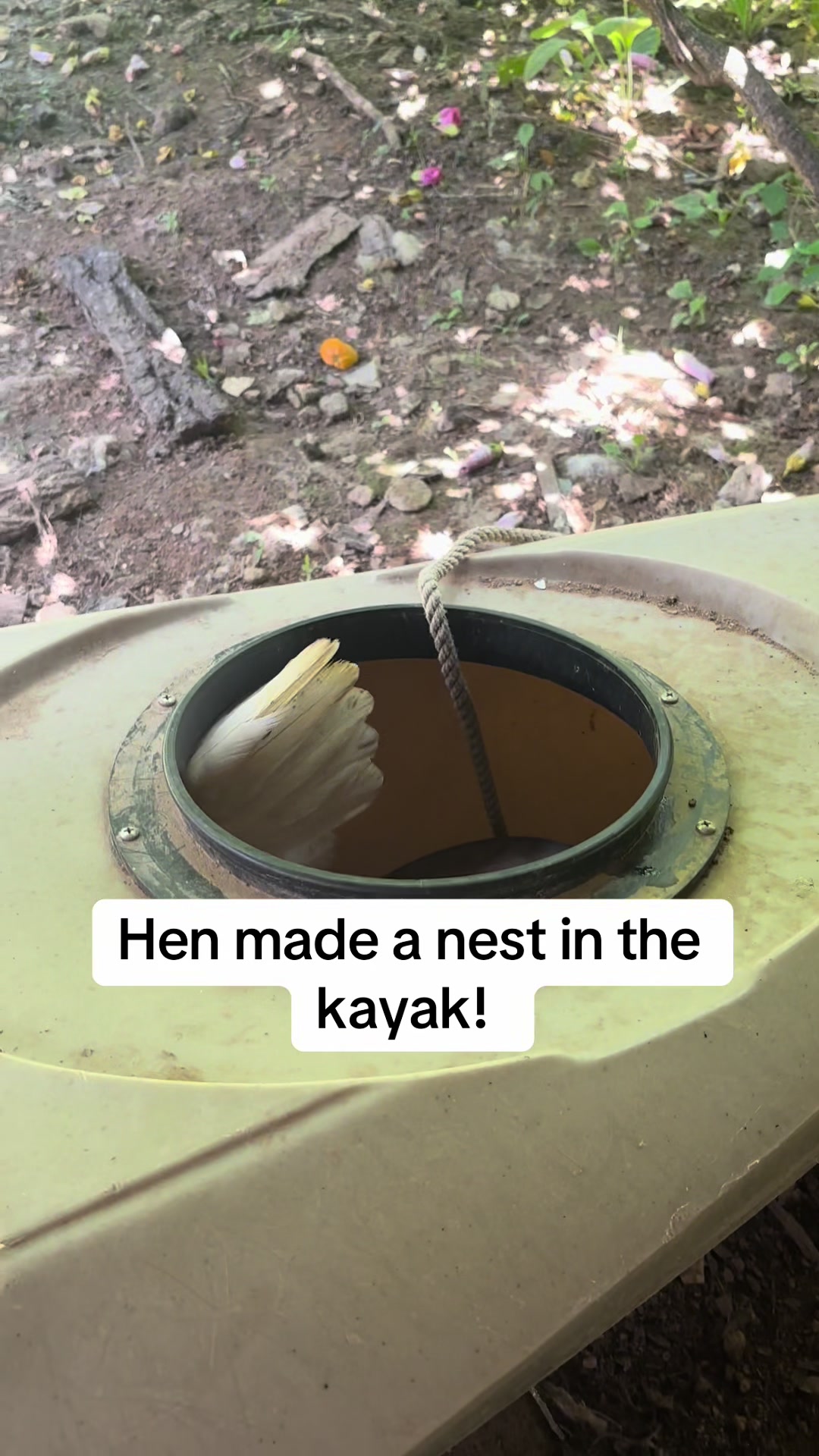 @RAT_RIVER_THE