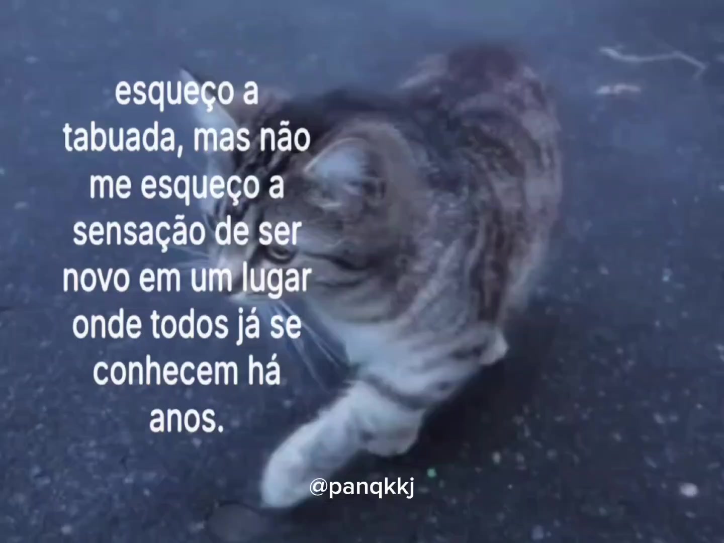 @Pɑn ⚝