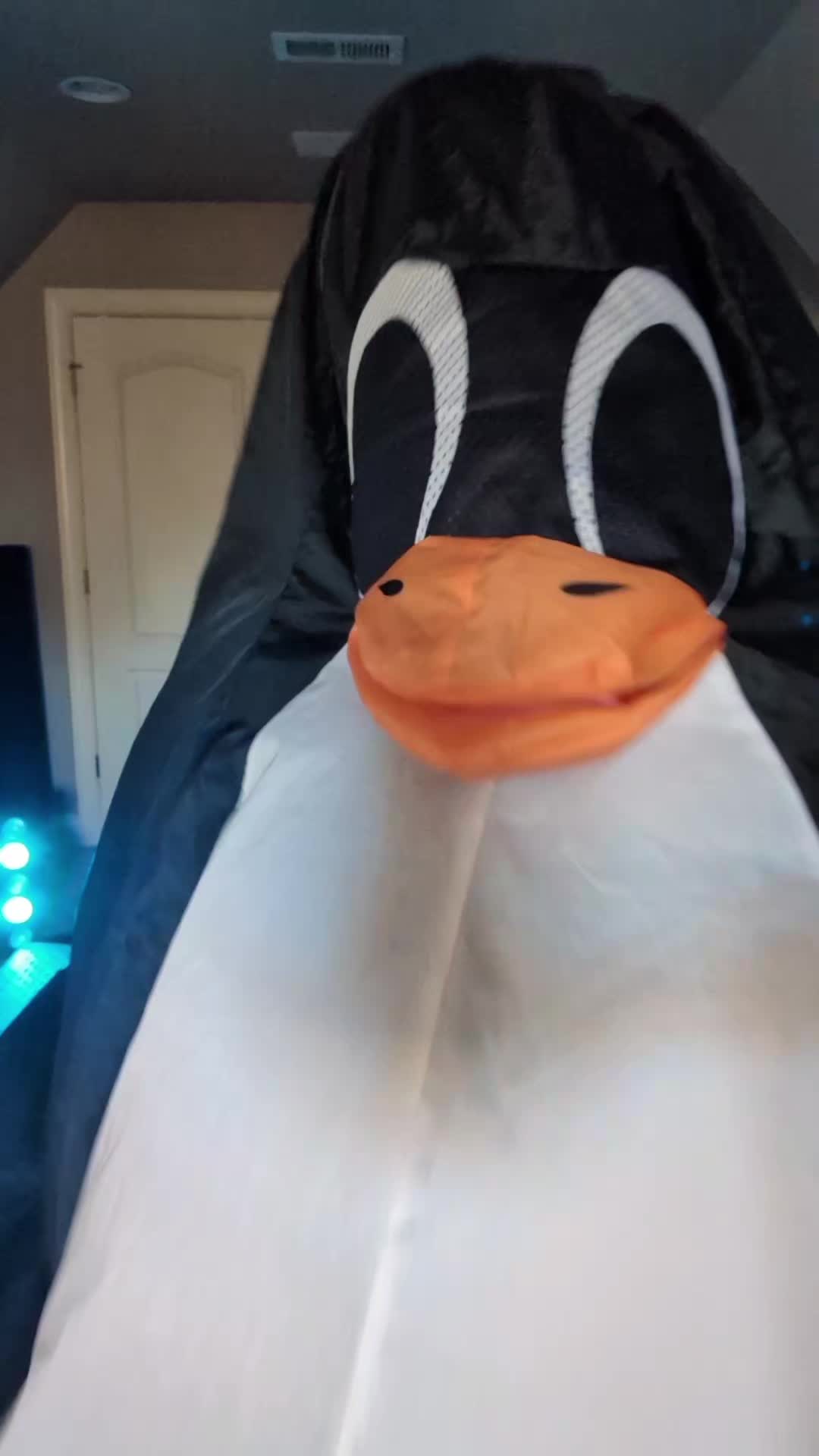 @Flipper