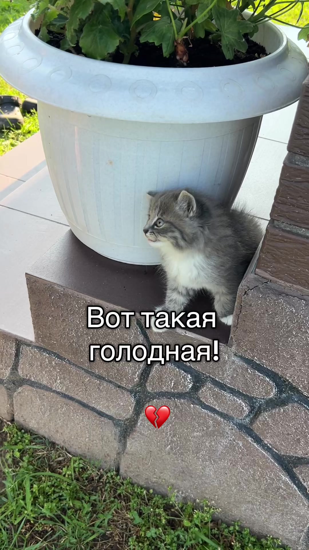 @Марина Руденок
