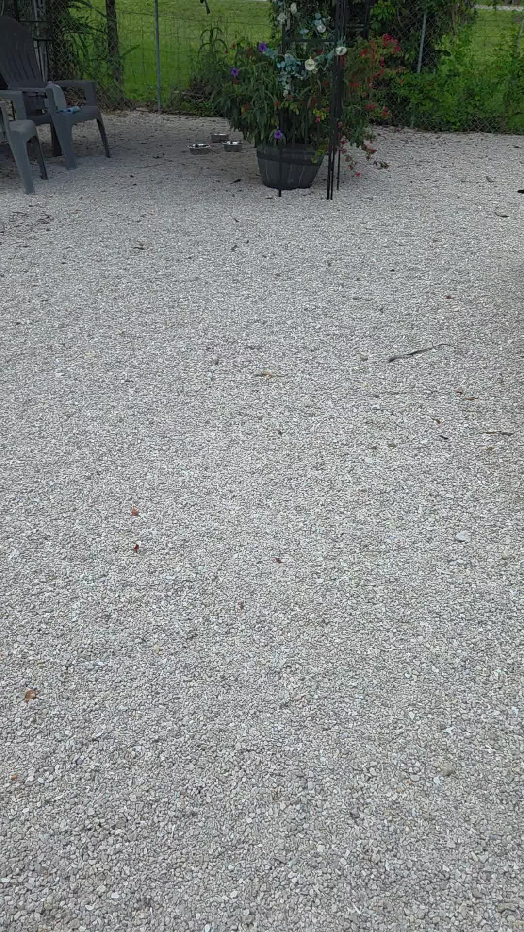 @tatumpetcarehaven