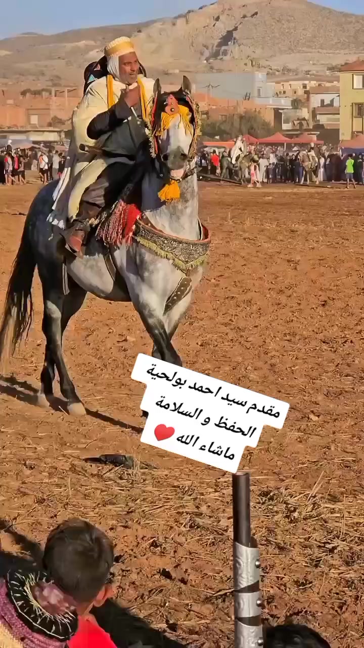@🔱 𝓐𝓷𝓮𝓼 𝓬𝓱𝓲𝓽𝓪𝓷𝓪💰🐺