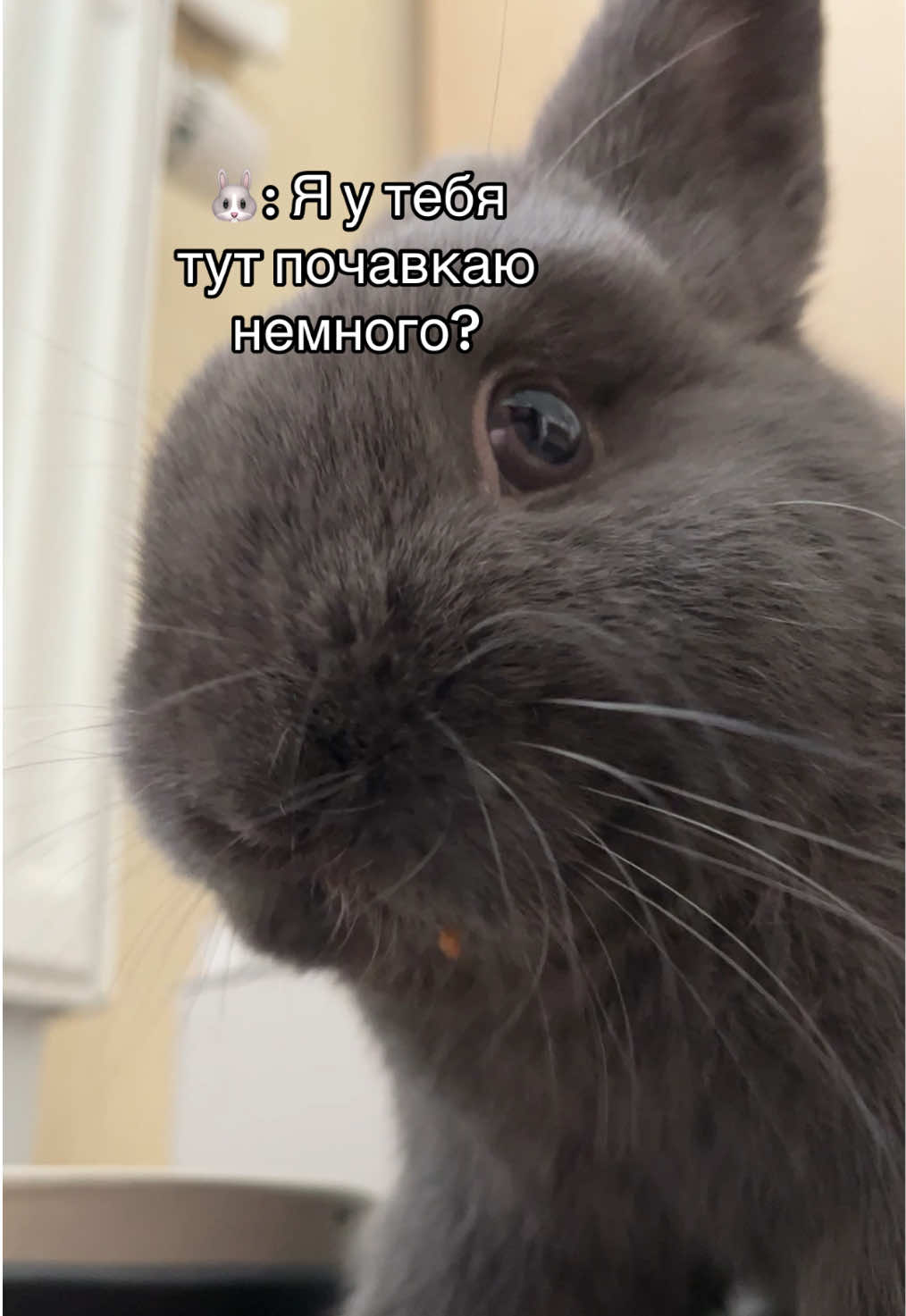@Пусик