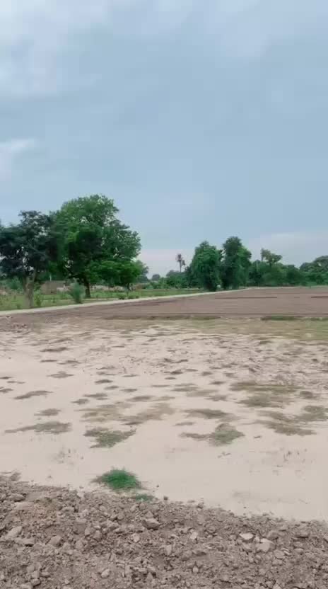 @@Ranashaniii