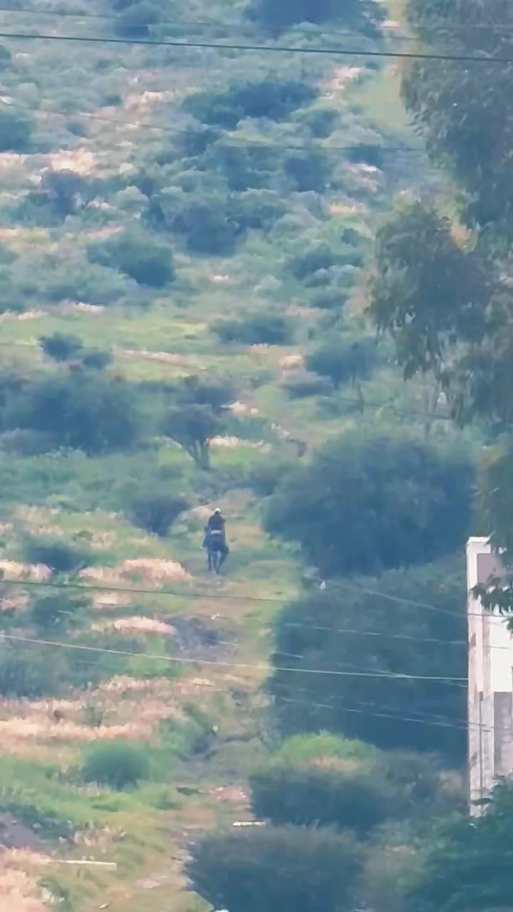 @Carlos Gardu&ntilde;o