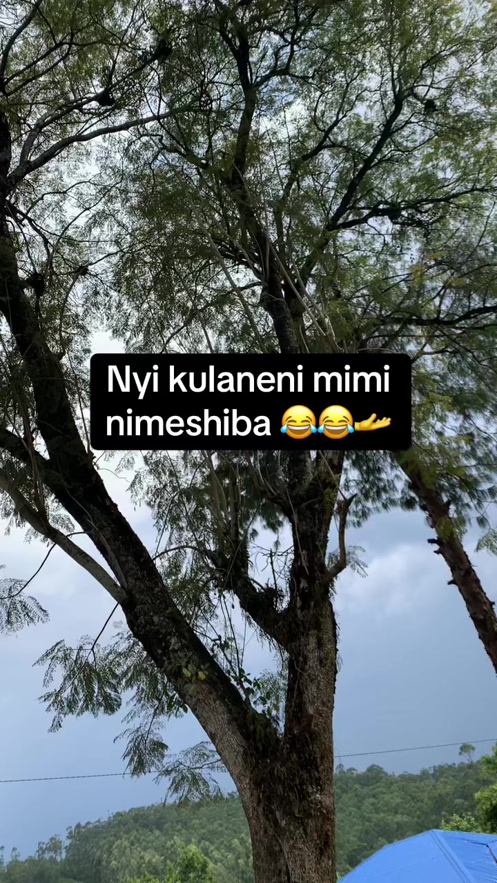 @Mpenda ngono