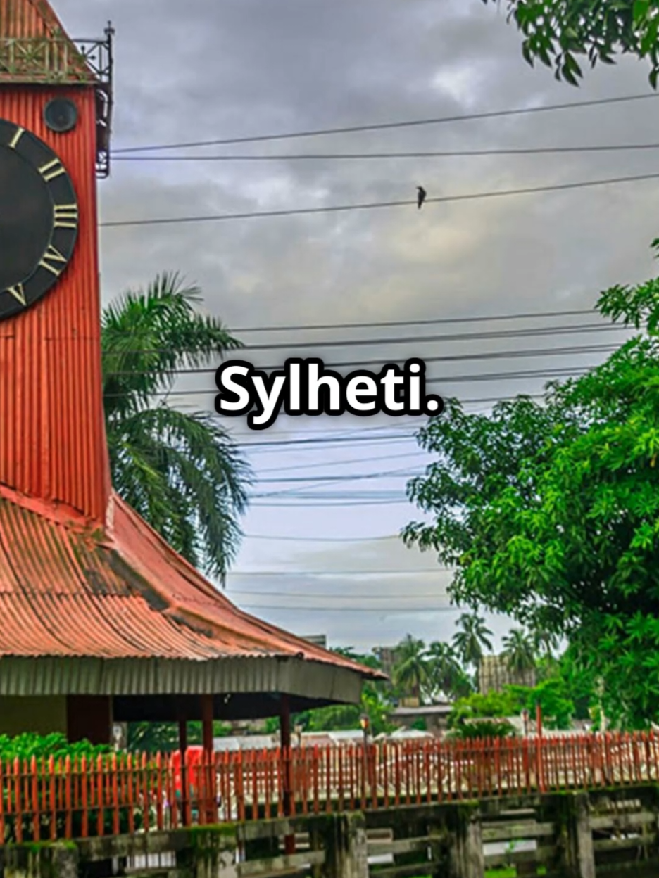 @Sylheti 🇧🇩