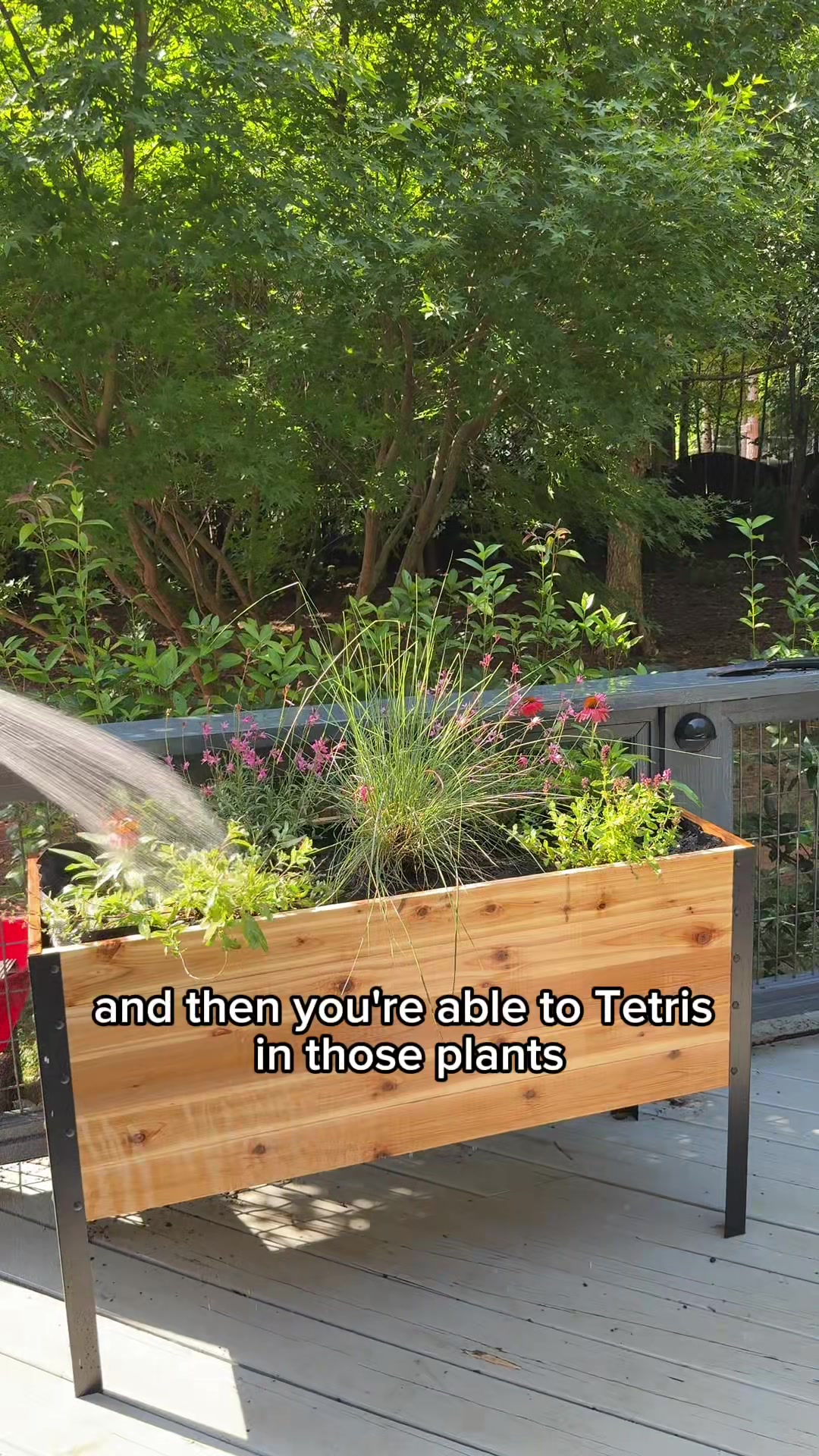 @The Ever Hopeful Gardener