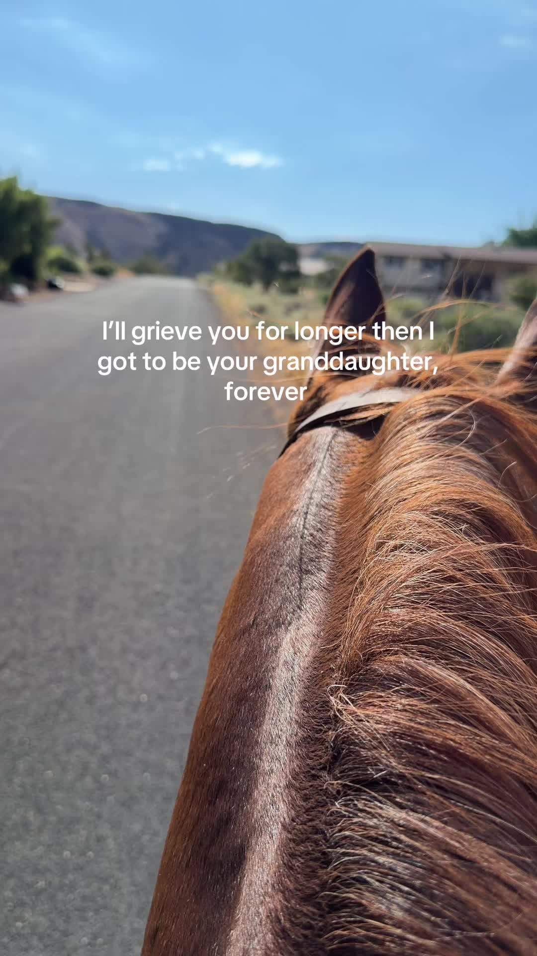 @Utah | Waxing | CEO | Horses