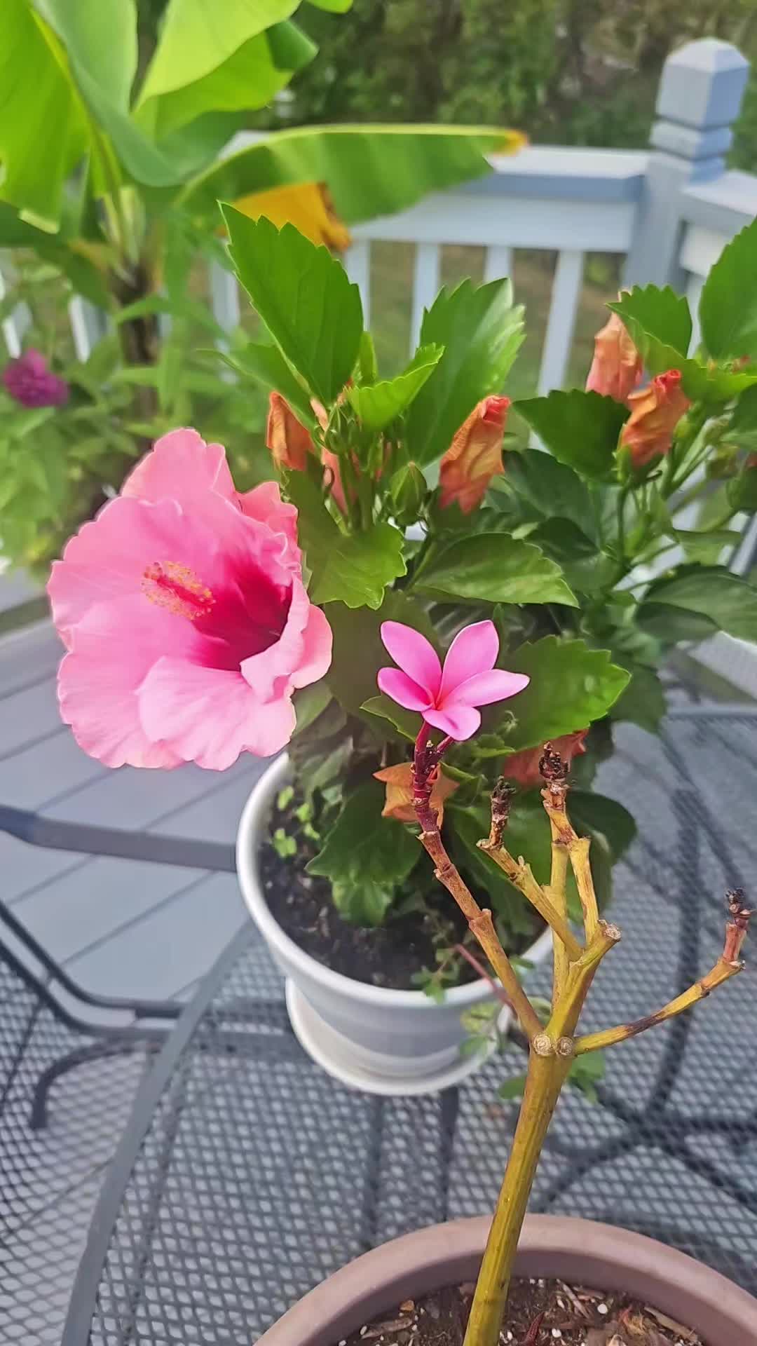 @ꪜꪖꪶꫀ𝘳𝓲ꫀ 🎀
