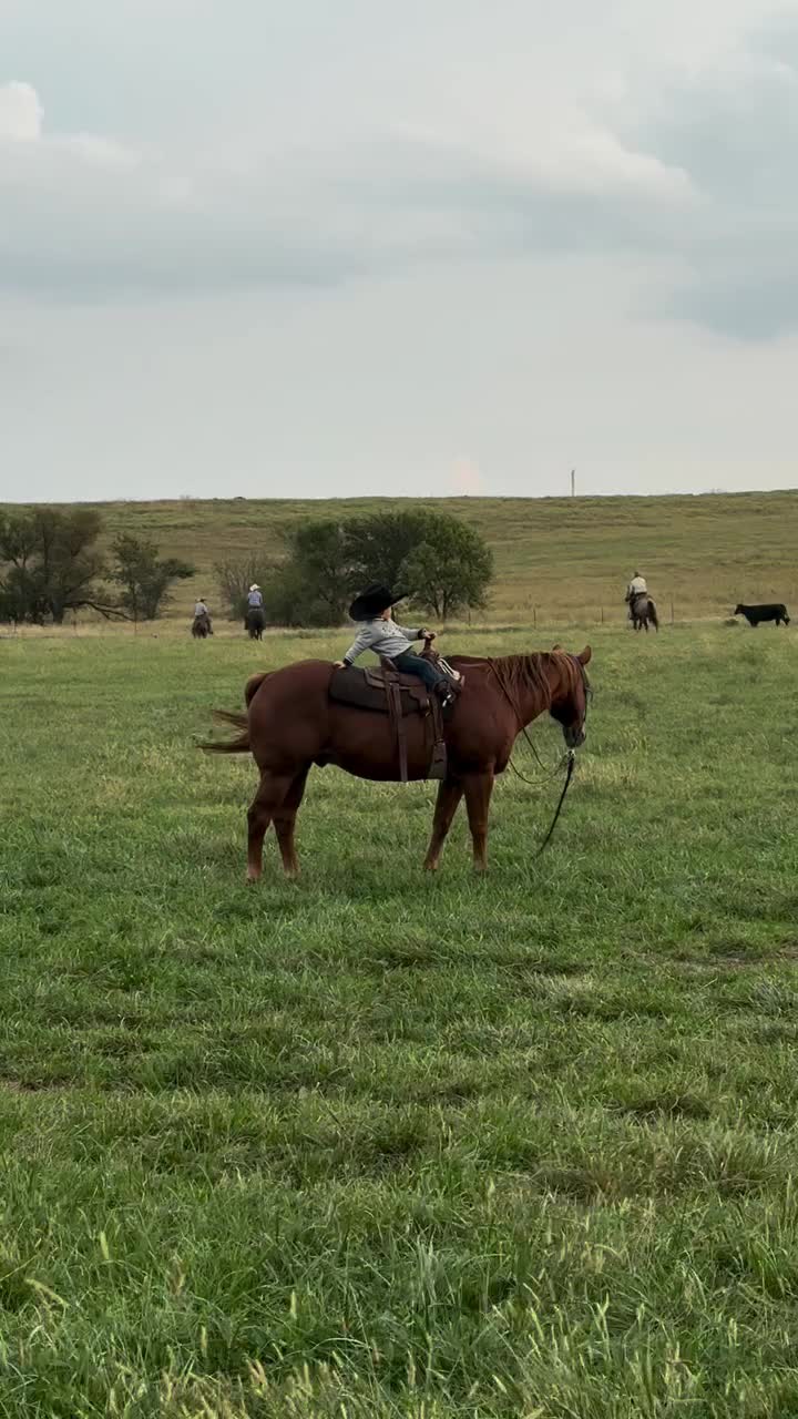 @ThunderGallops