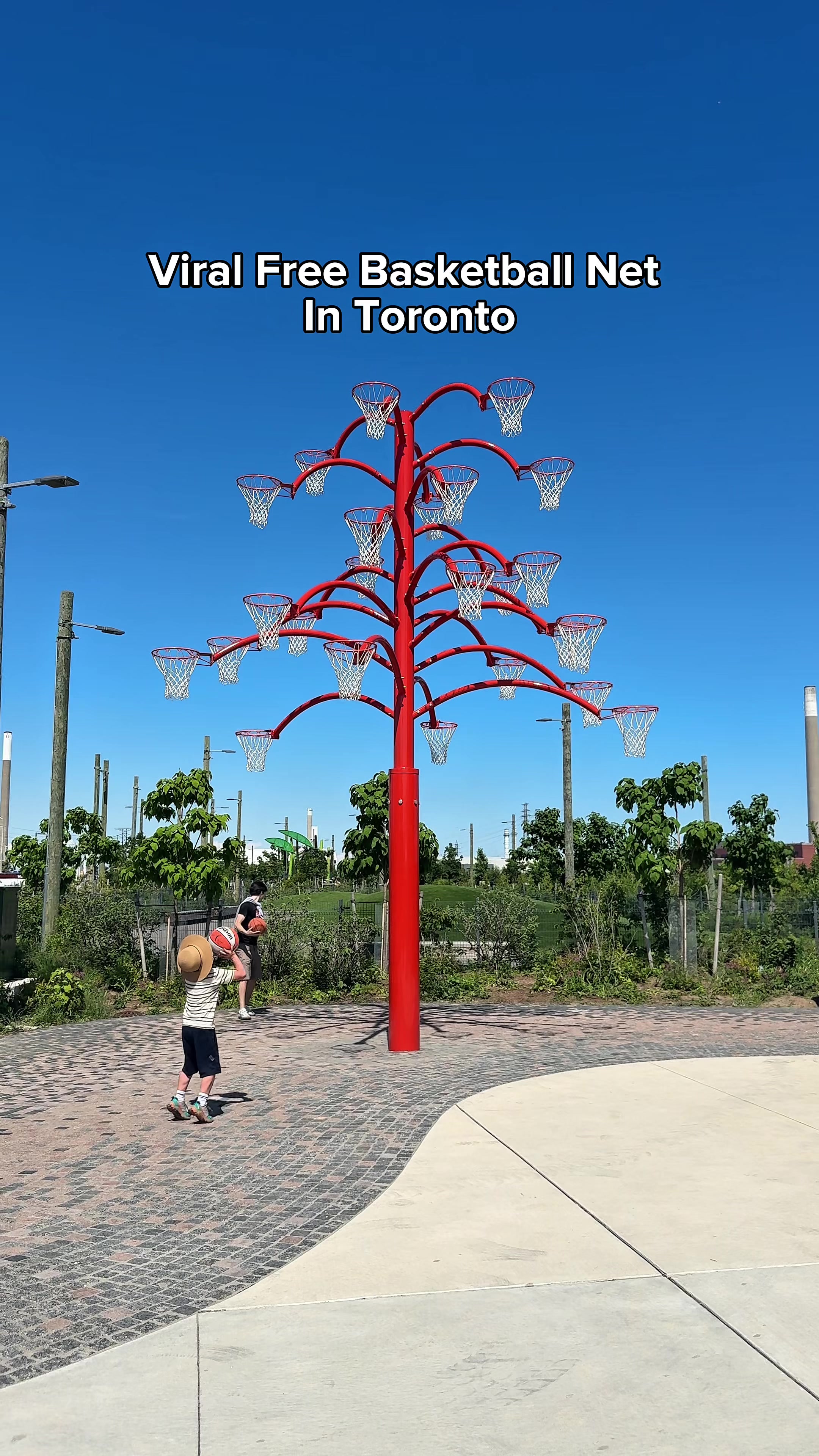 @TodoToronto