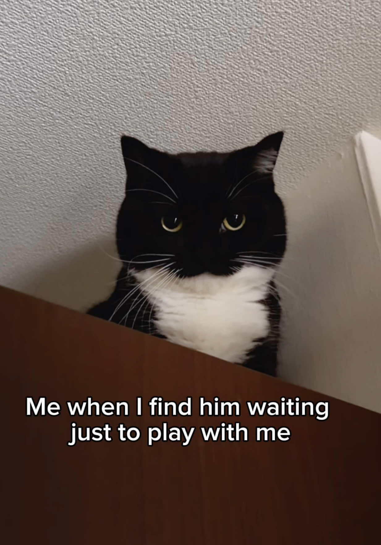 @I’m Uni.