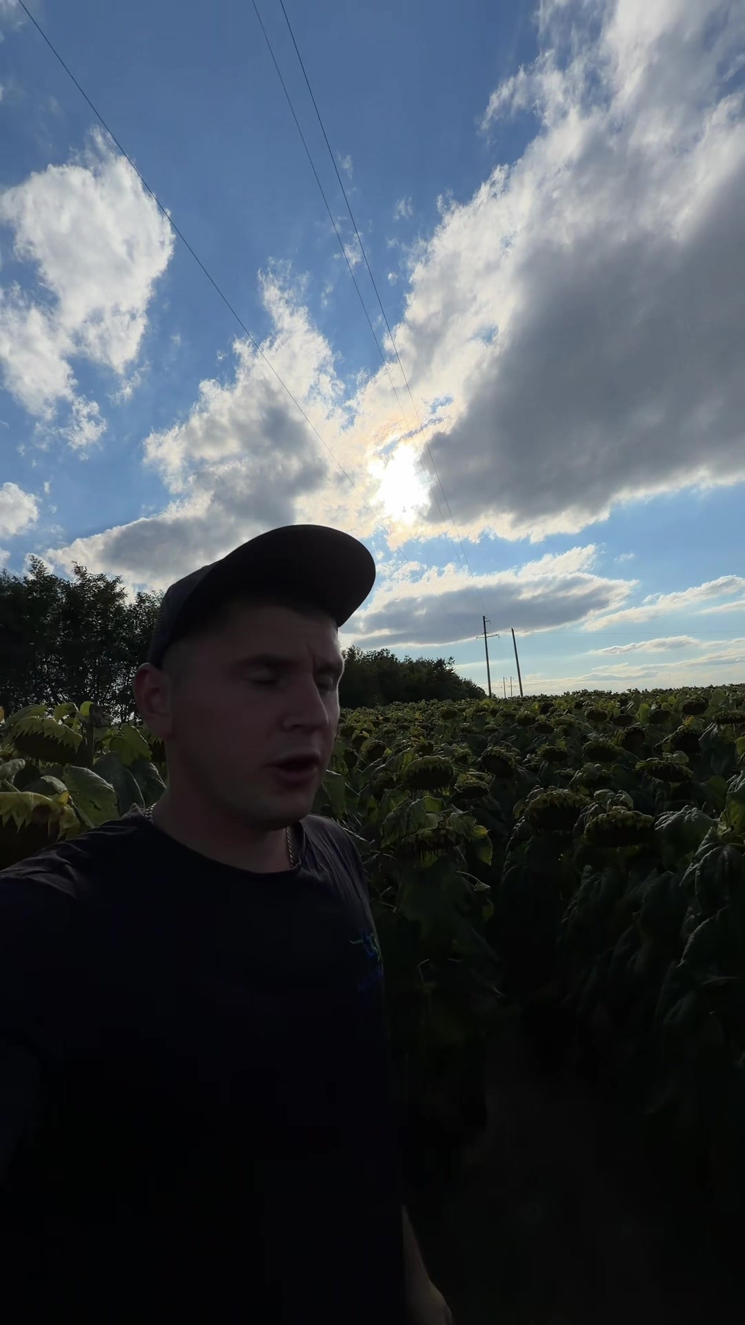 @🚜_ Viktor_Agro_🌾