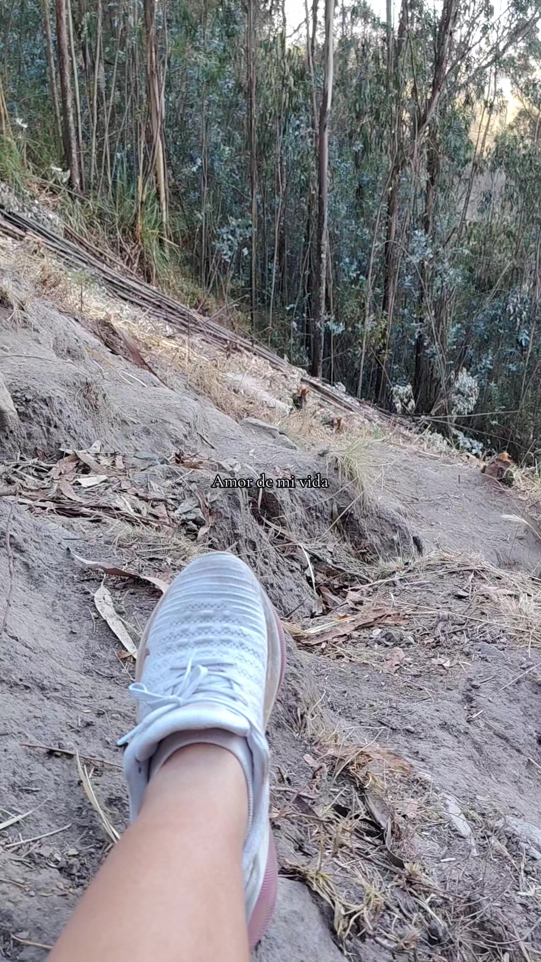 @🤍