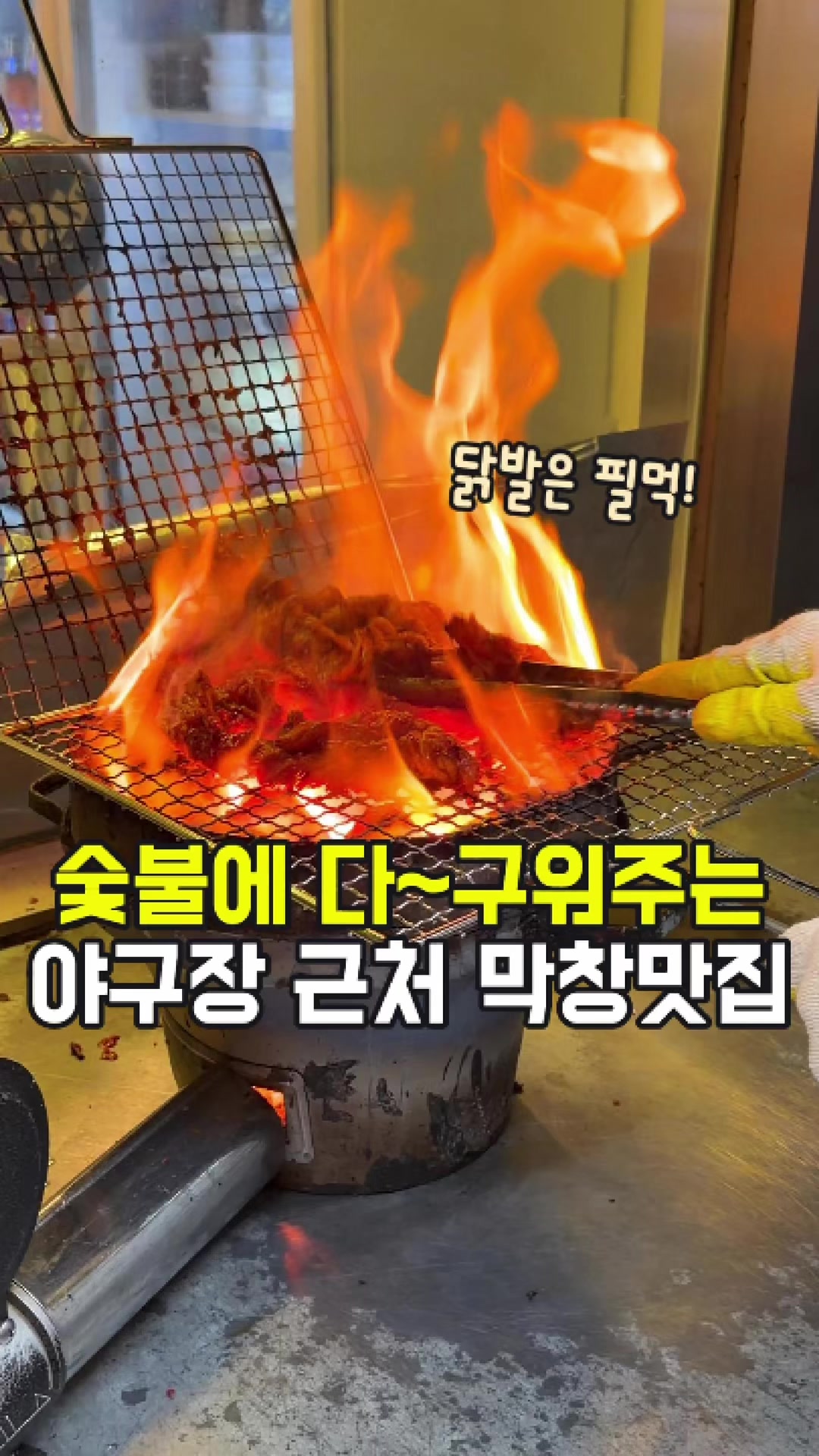 @대전토박이