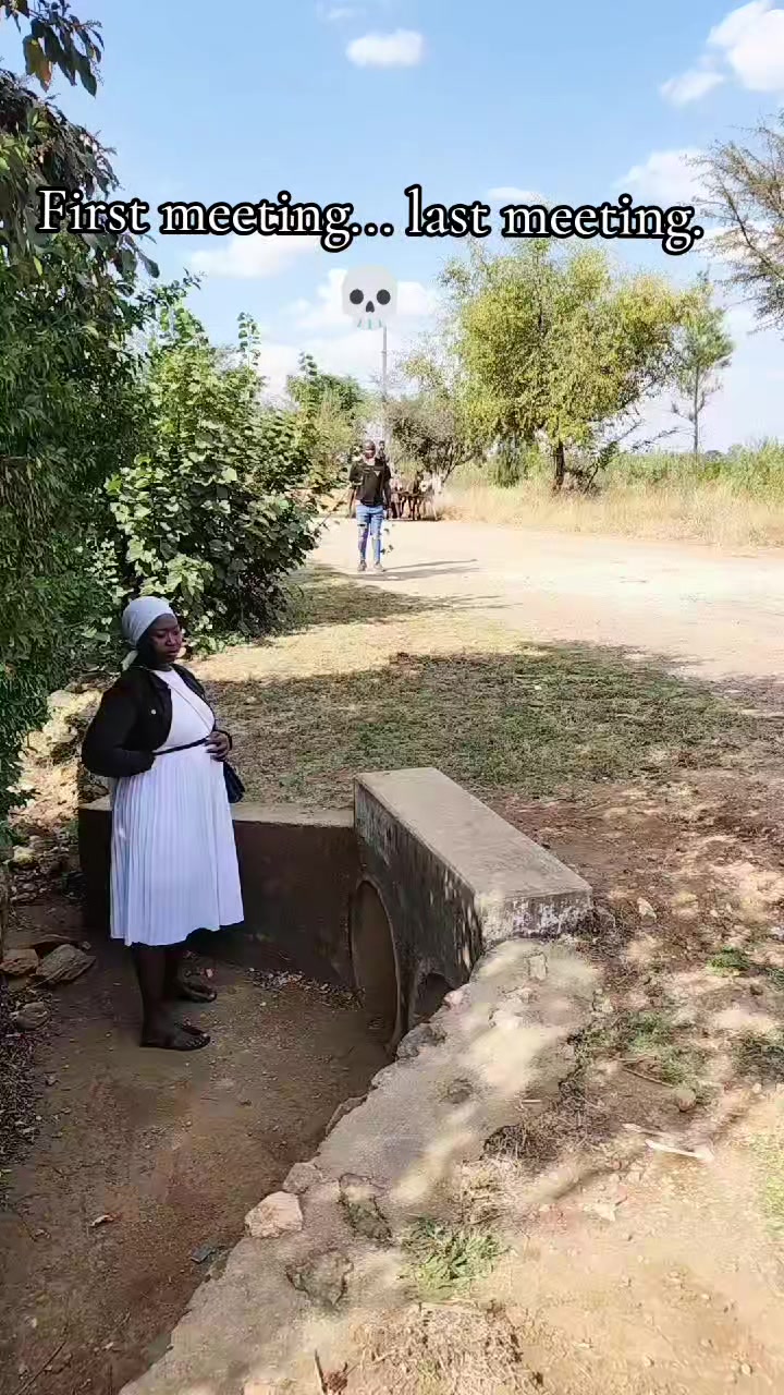 @shammy Moyo🇿🇼