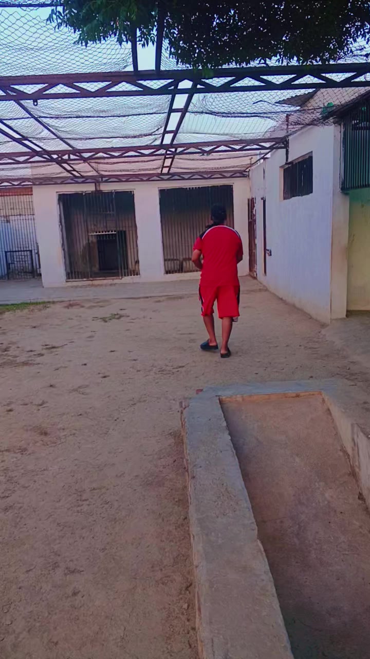 @muhammadshafiqe508