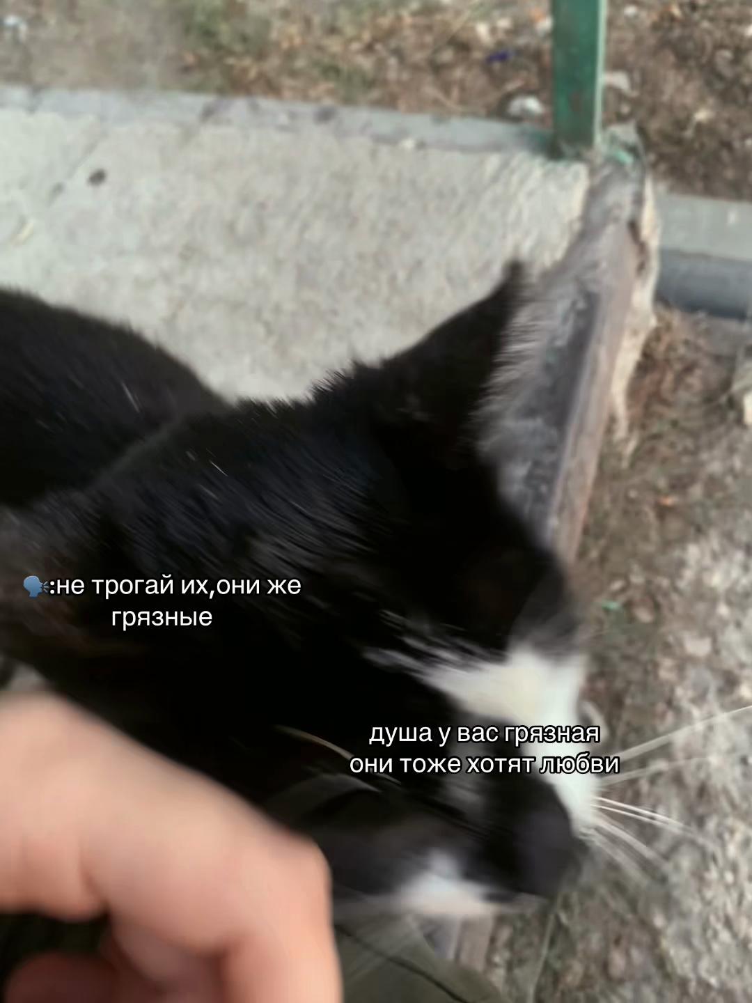 @викаа