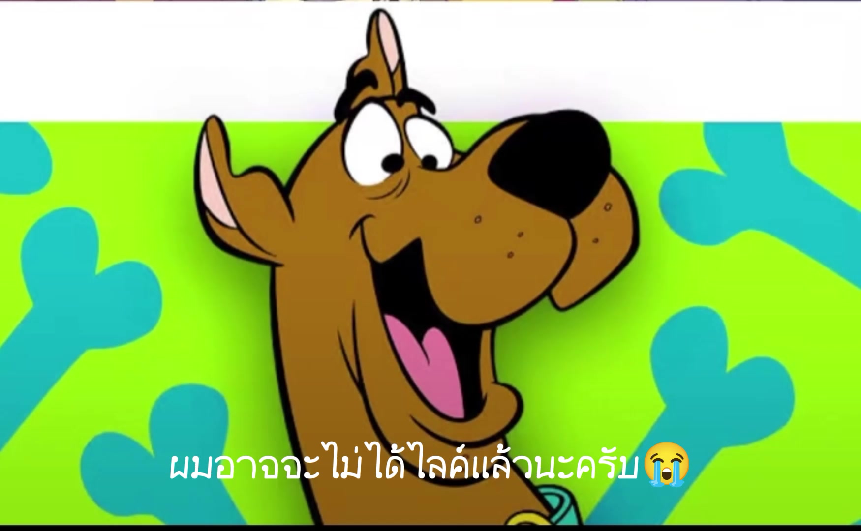 @🥶แมวดูไปเรื่อย🪽