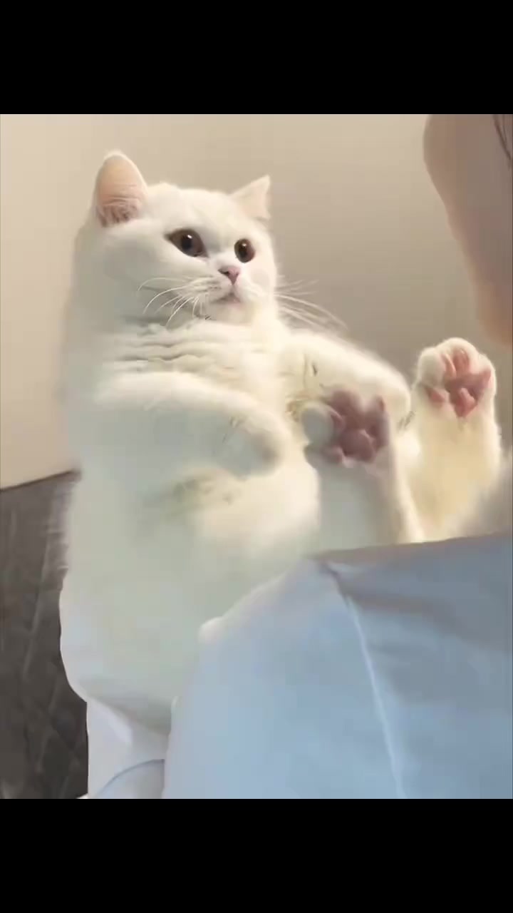 @trạm cute