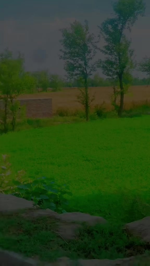 @Heera Gujjar 566