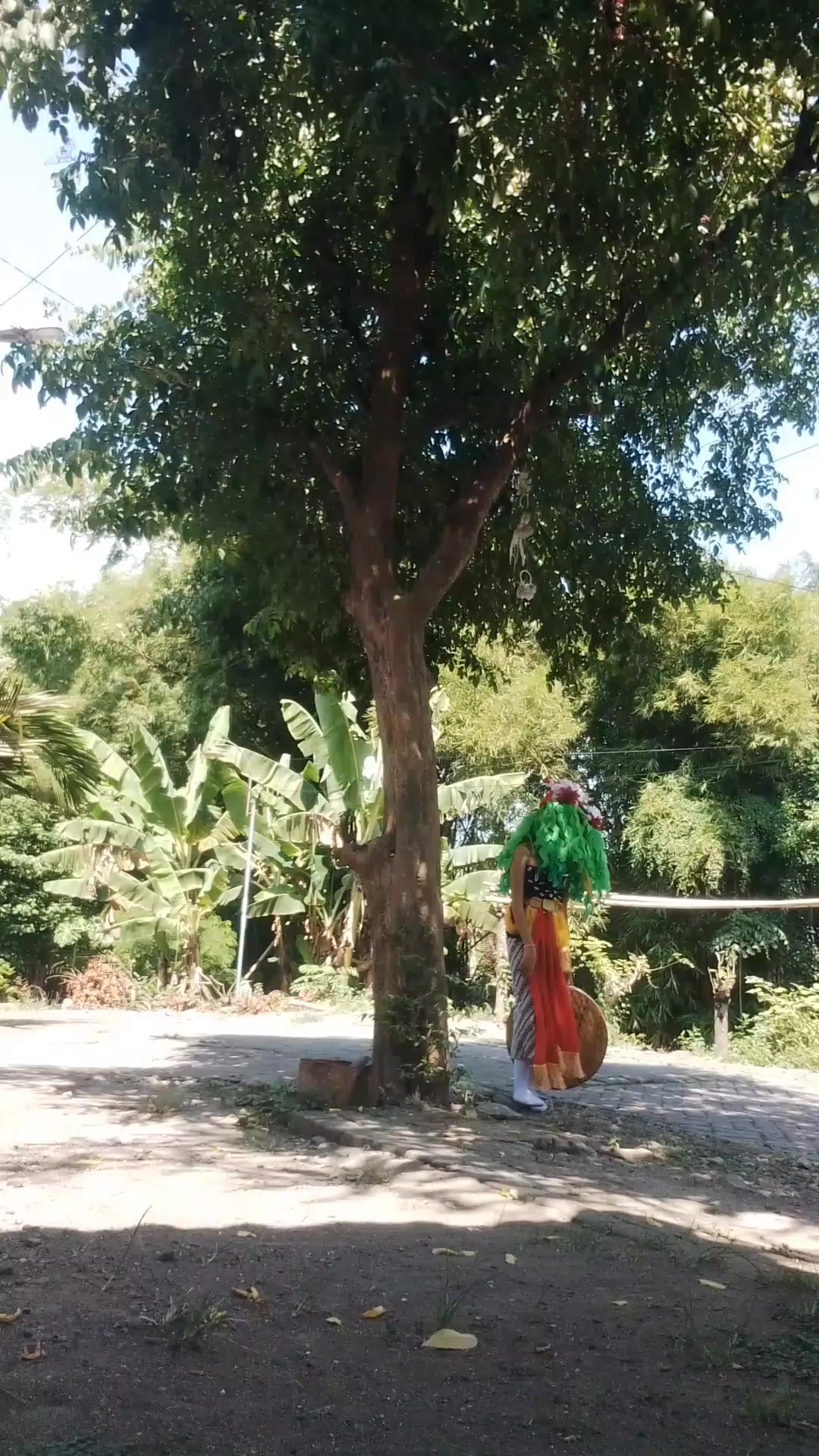 @plan3ttt_seblang✨🐛