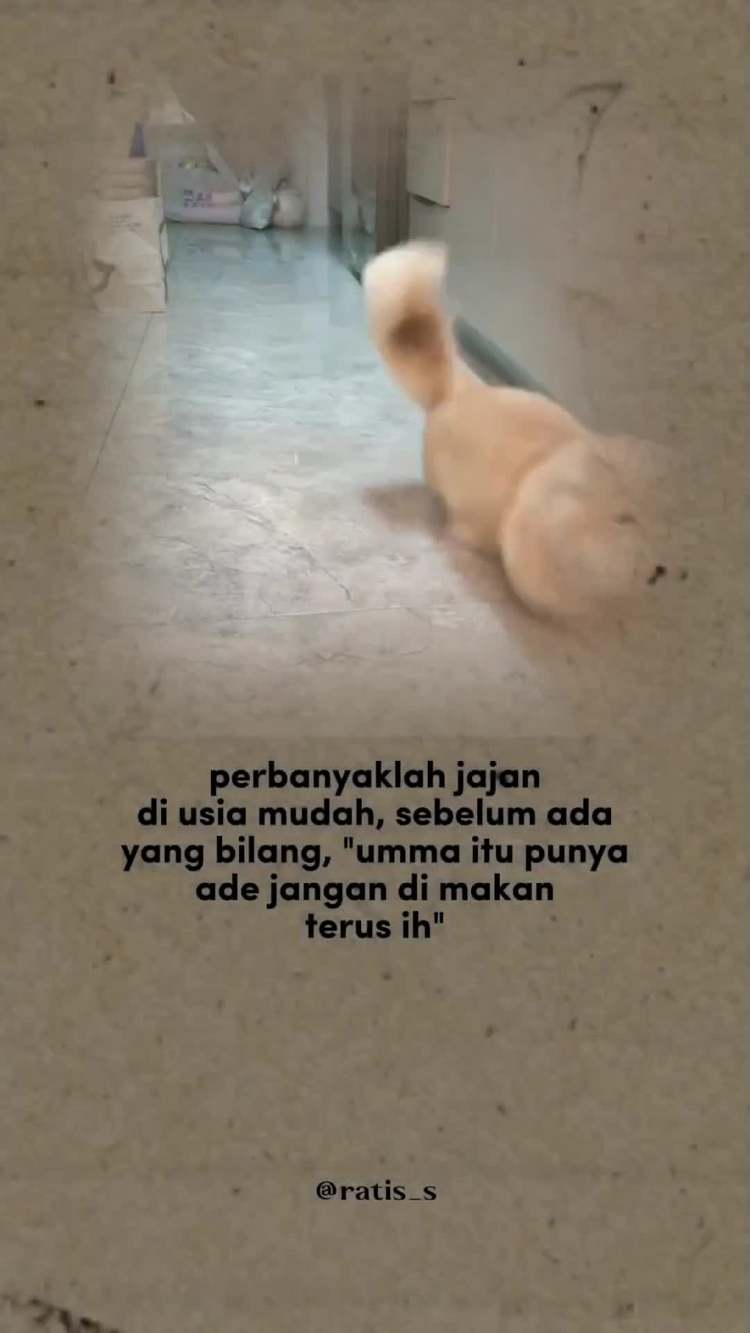 @ratsss