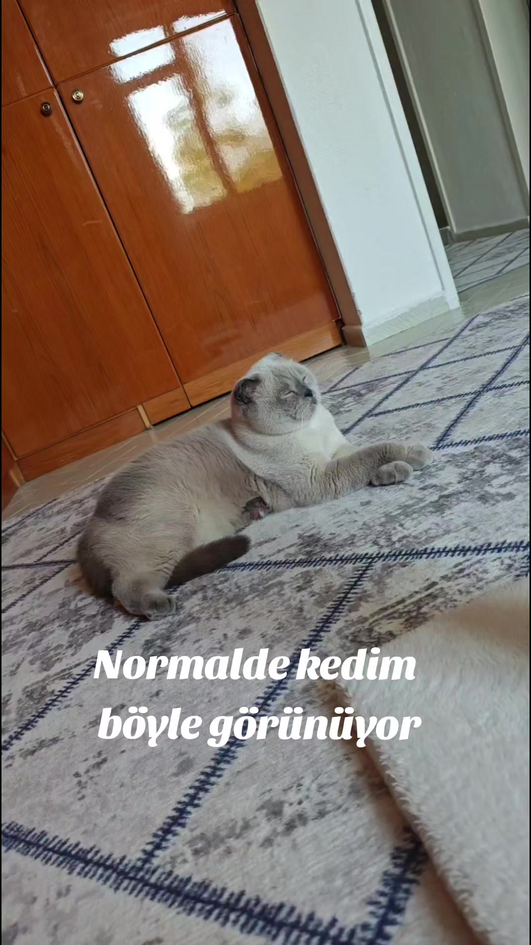 @💙SÜTLAÇ BEY💙