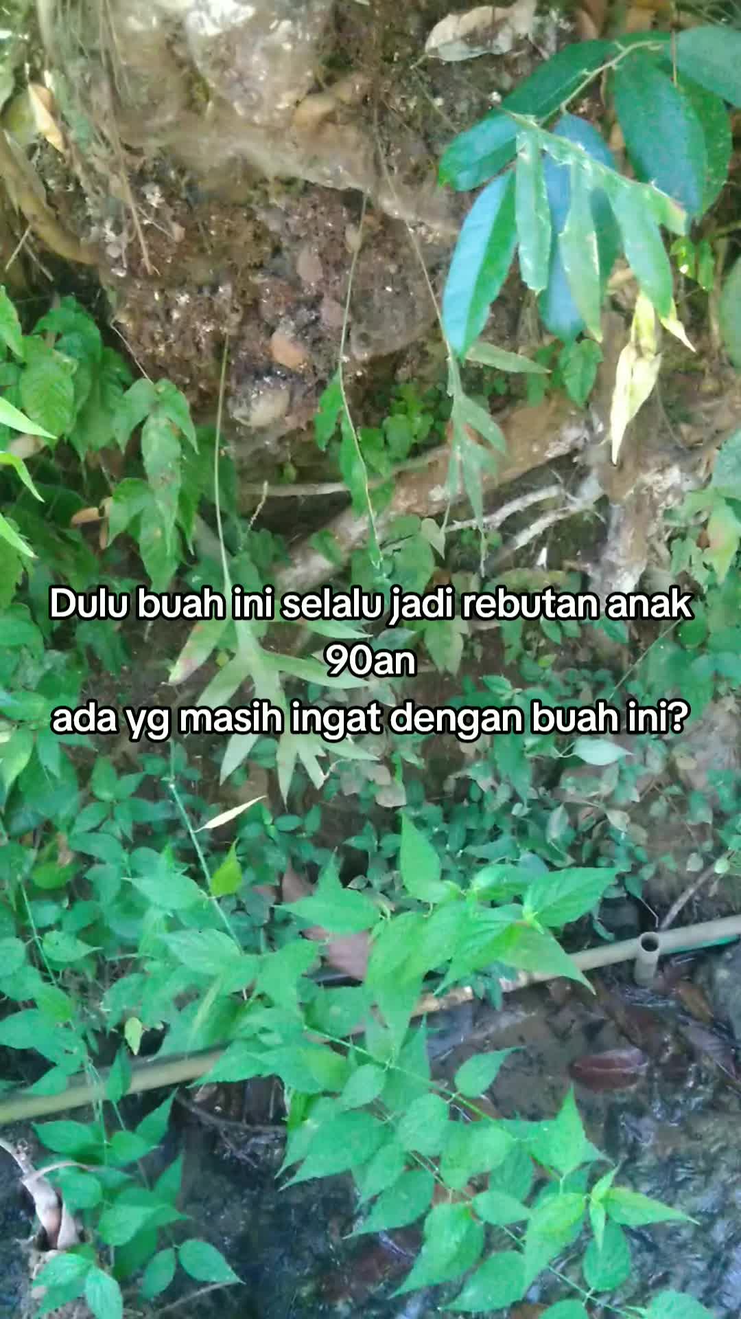 @Nostalgia90s