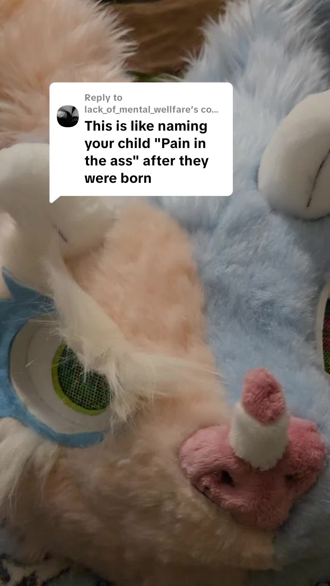 @Mouse