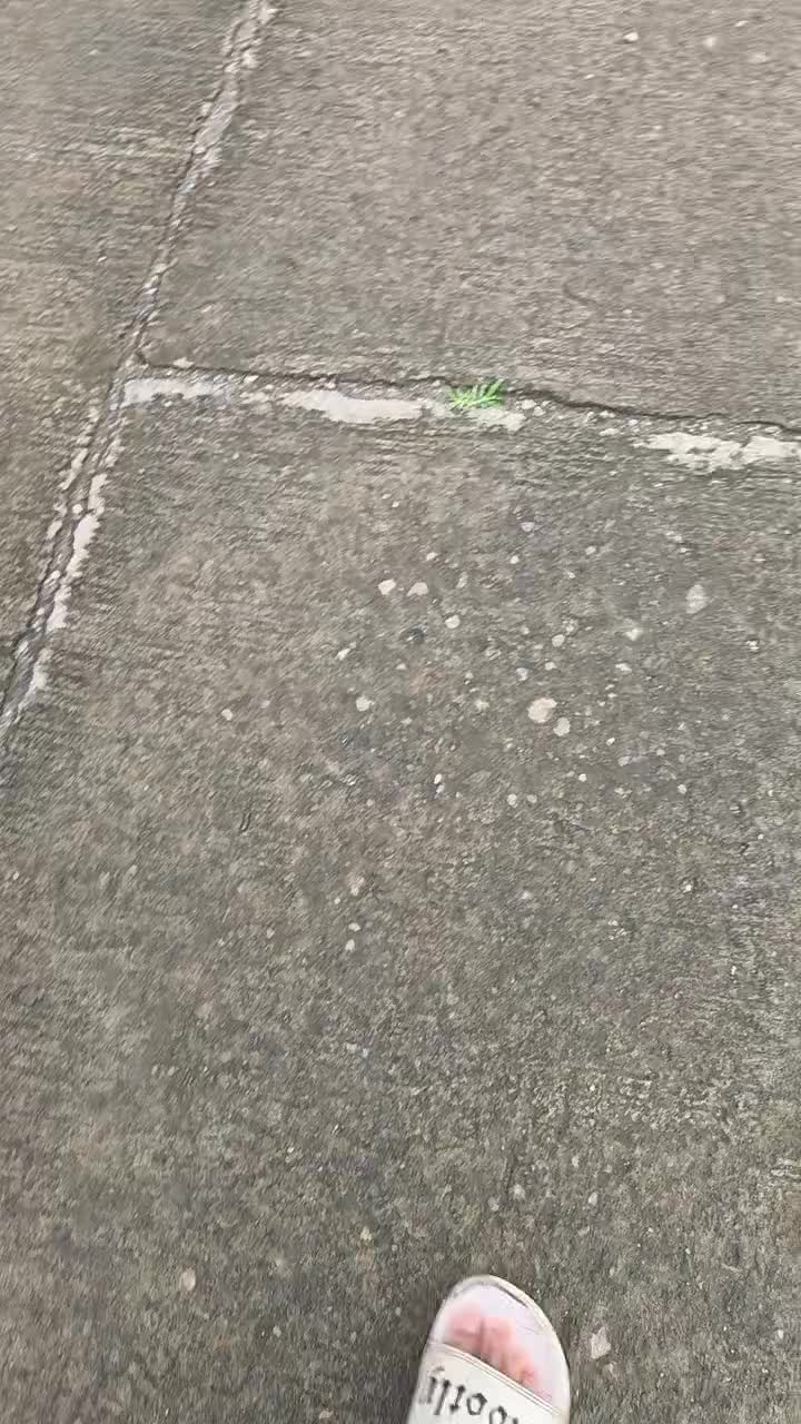 @489
