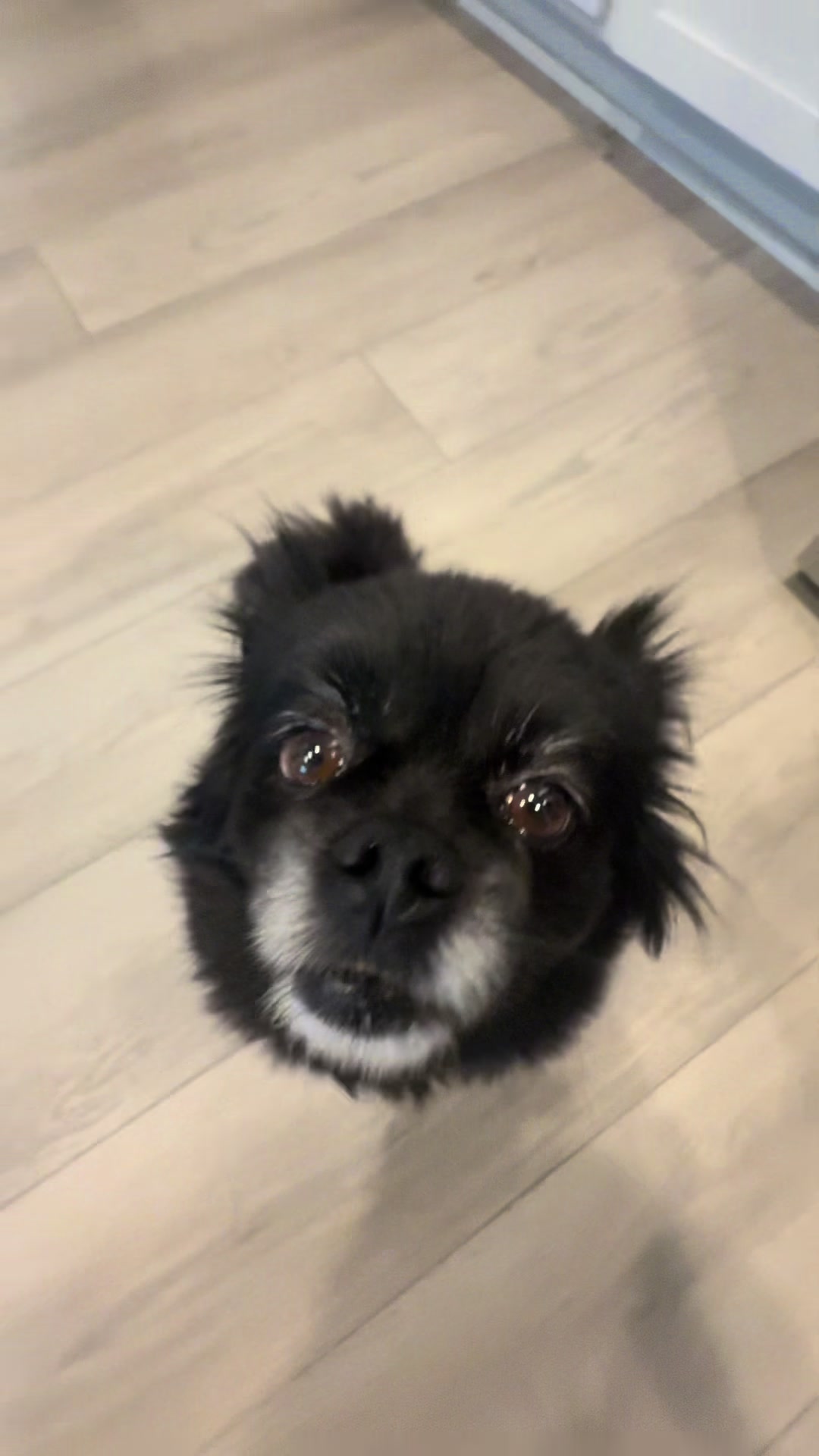 @cashandbentley_