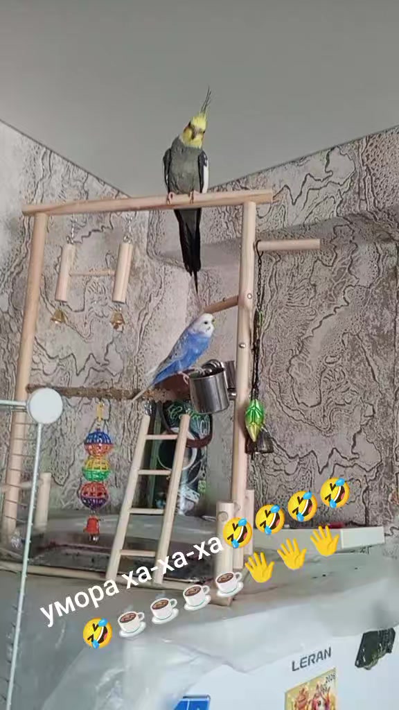 @Натали 🥰🥰🥰🥰☑️☑️☑️