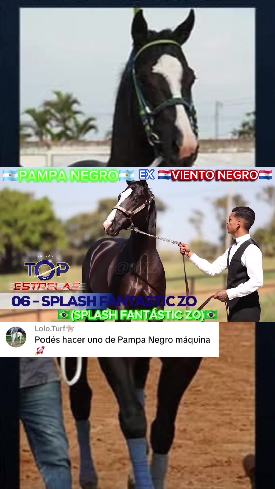 @WIL.🐎