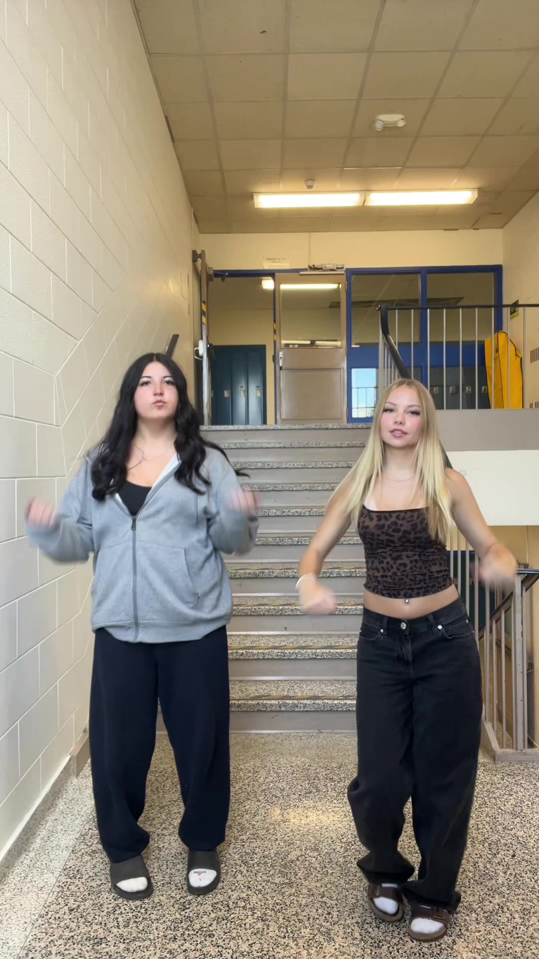 @avaellie
