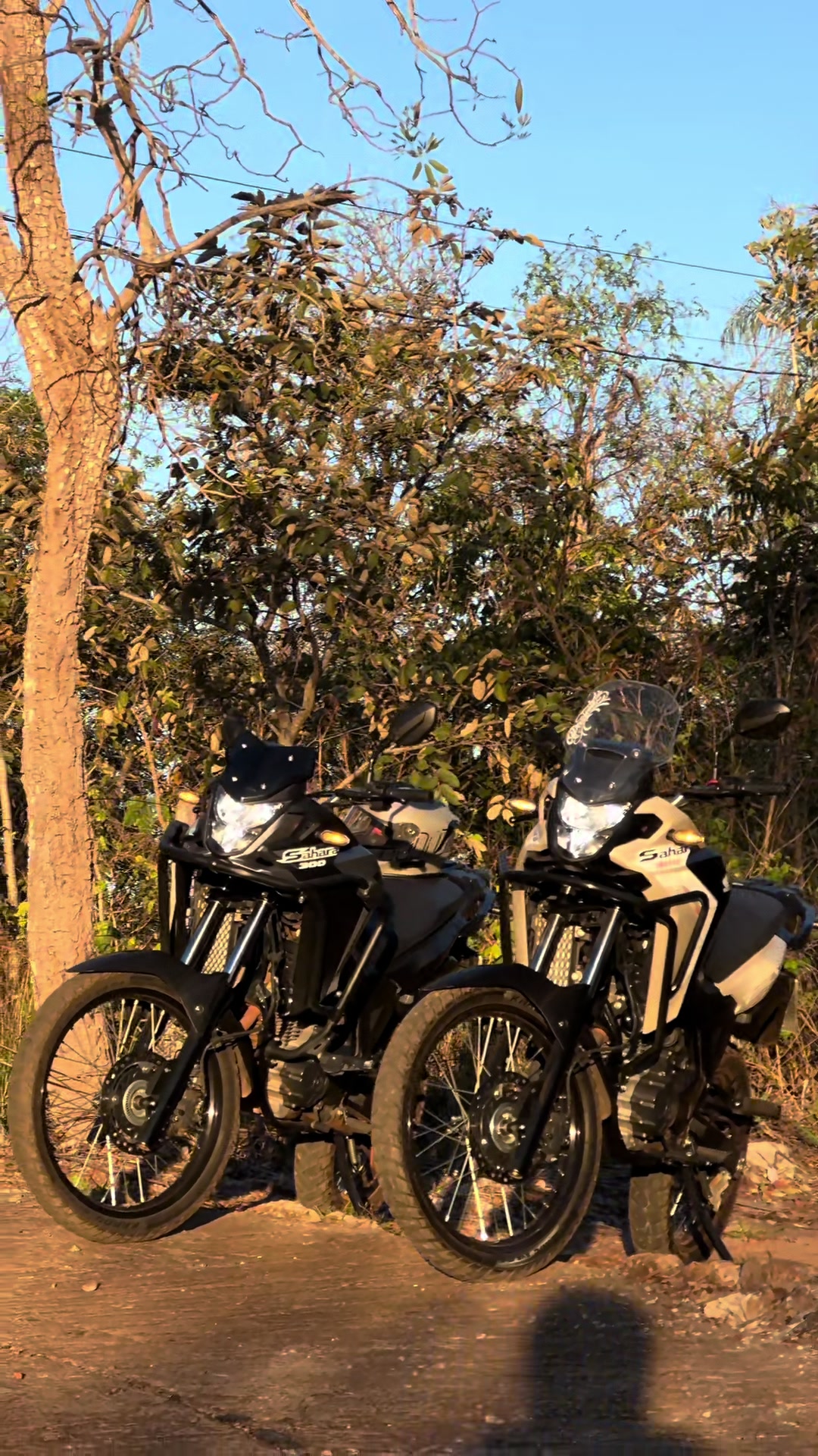 @Sahara300bto💎