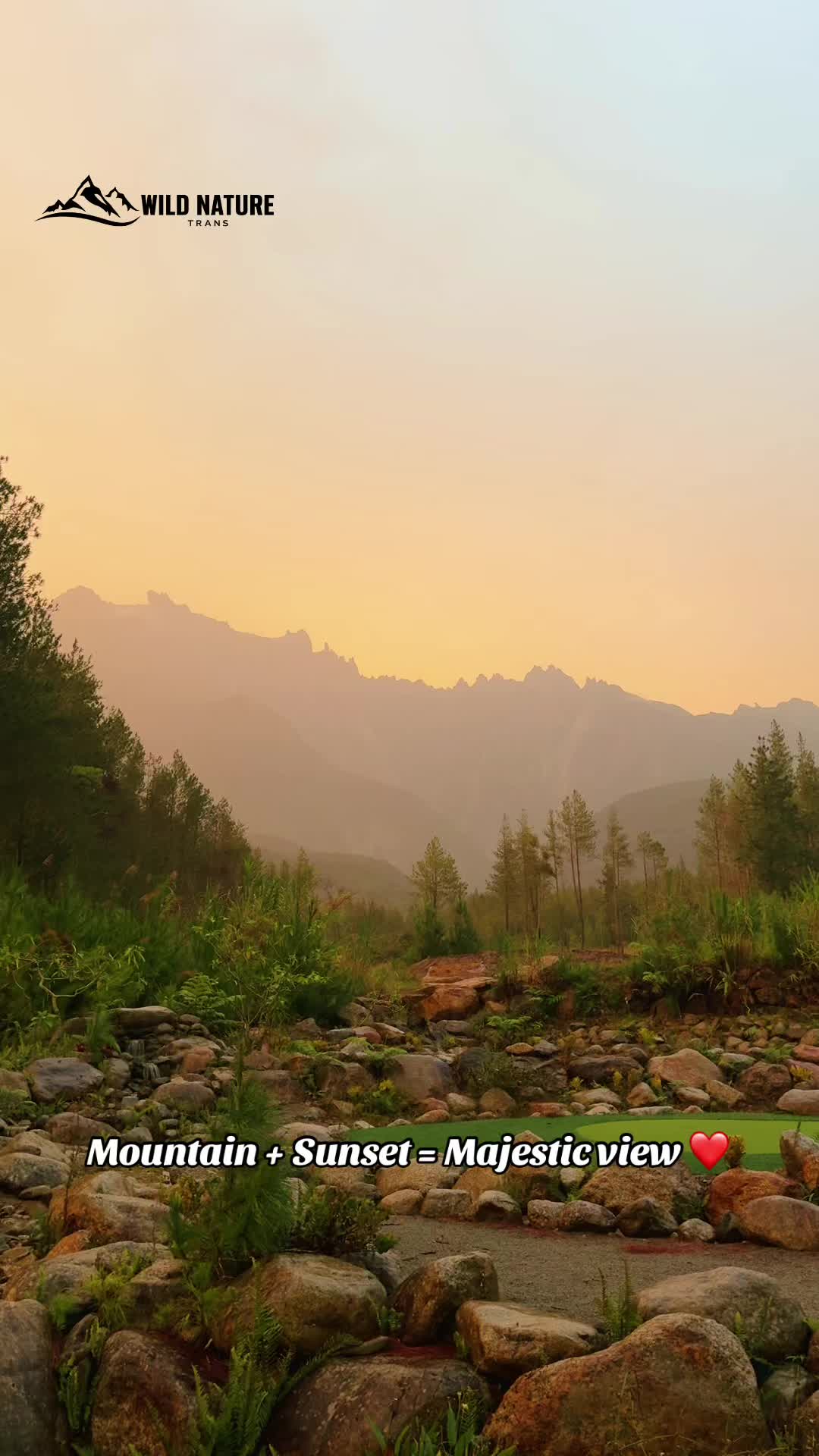 @Wild Nature Trans