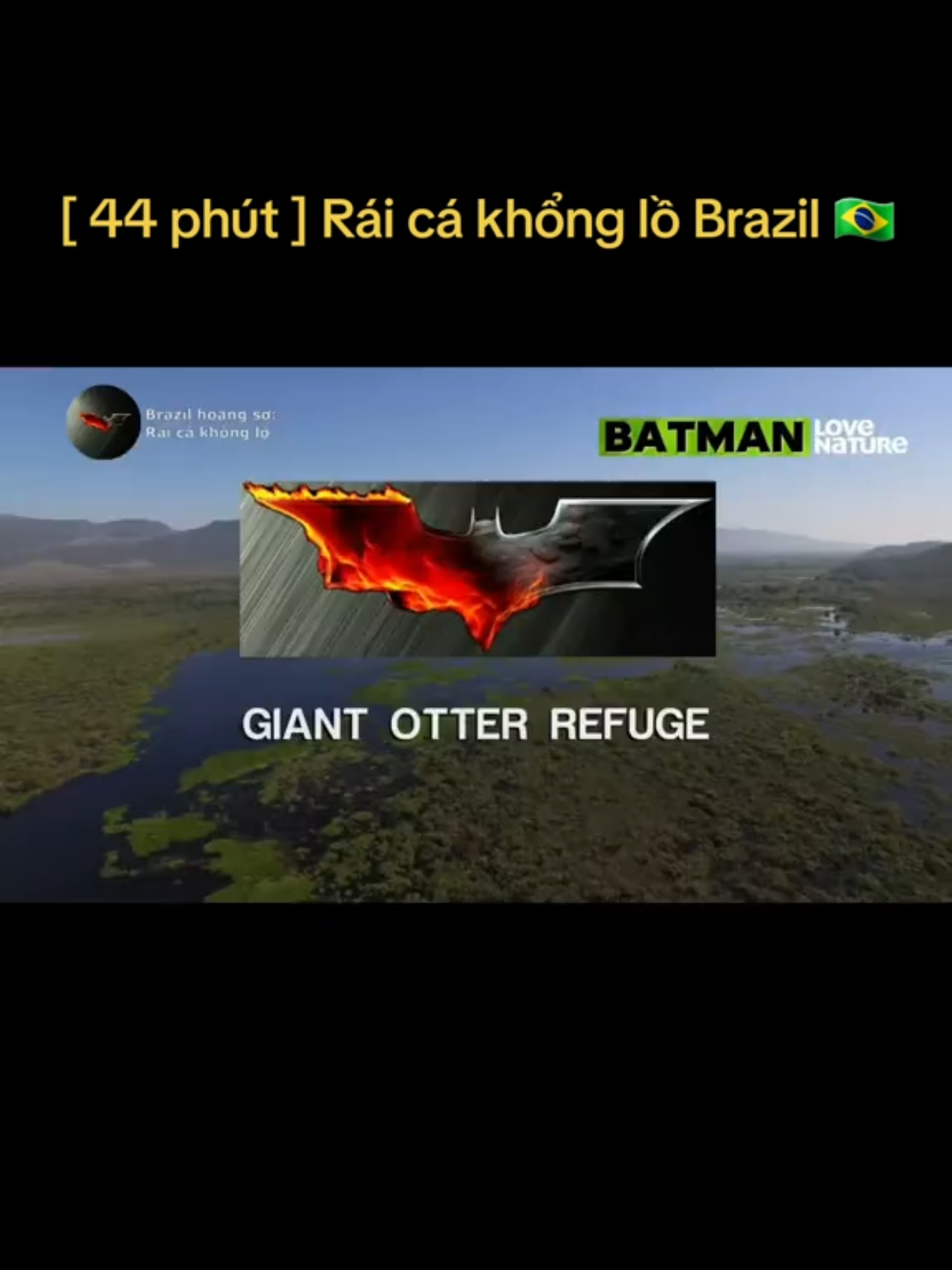 @🌏 BATMAN