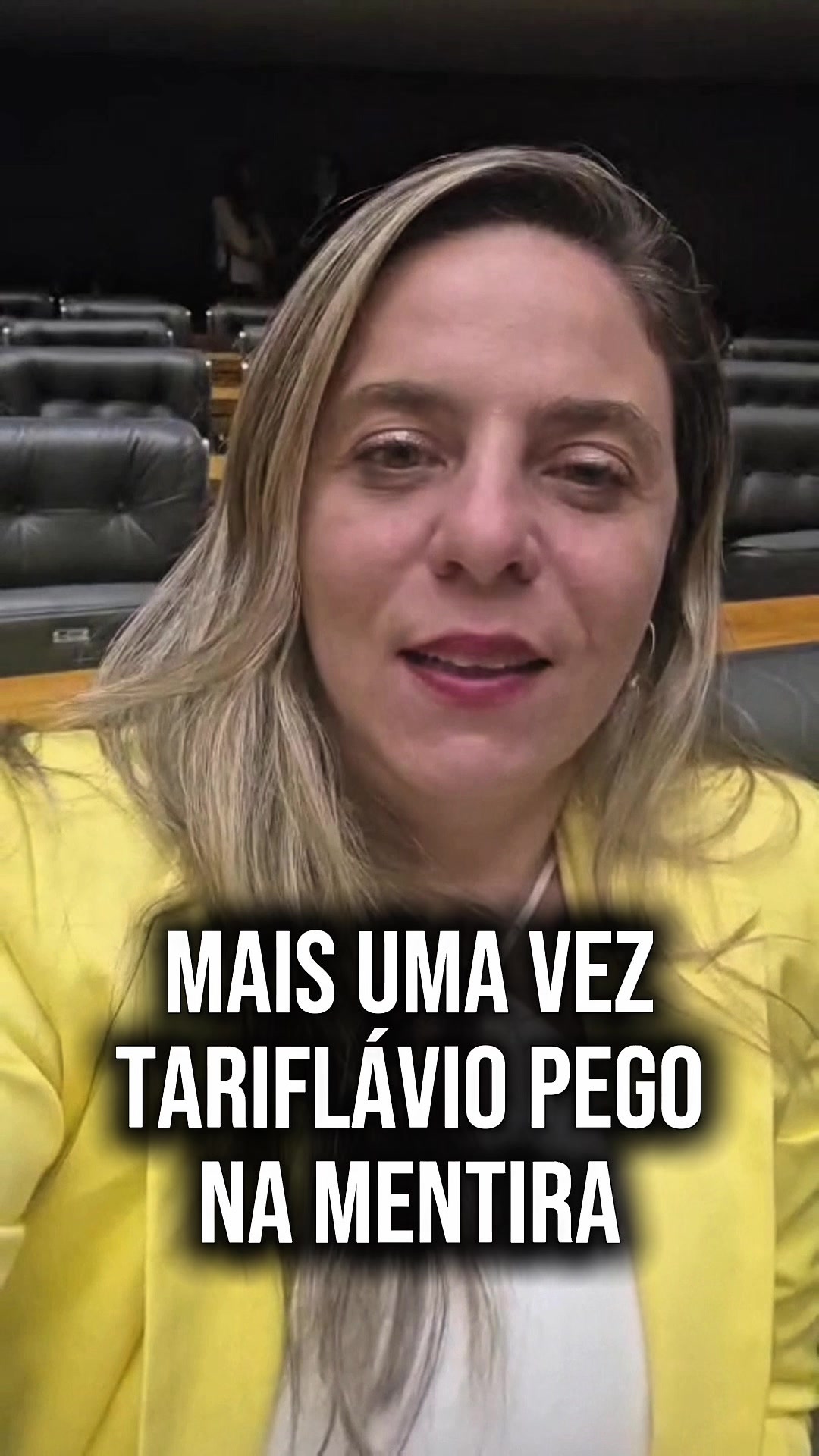 @Fernanda Melchionna