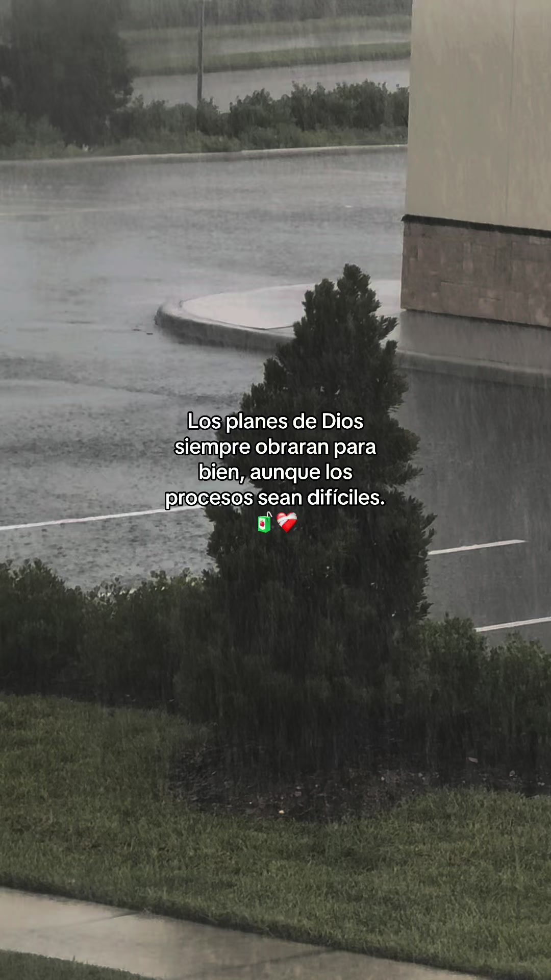 @Arelis