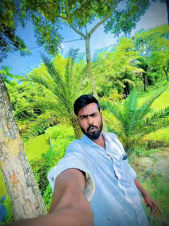 @banglavai4