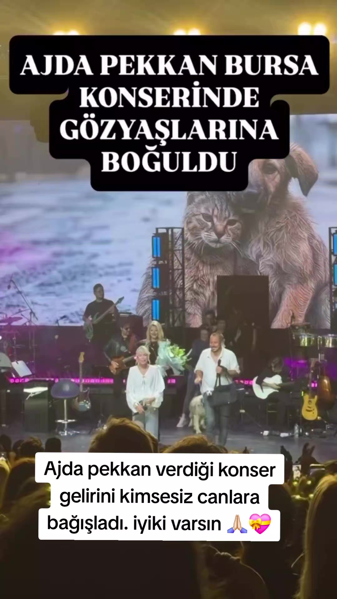 @HAYCAN MEDYA 🌐✔️